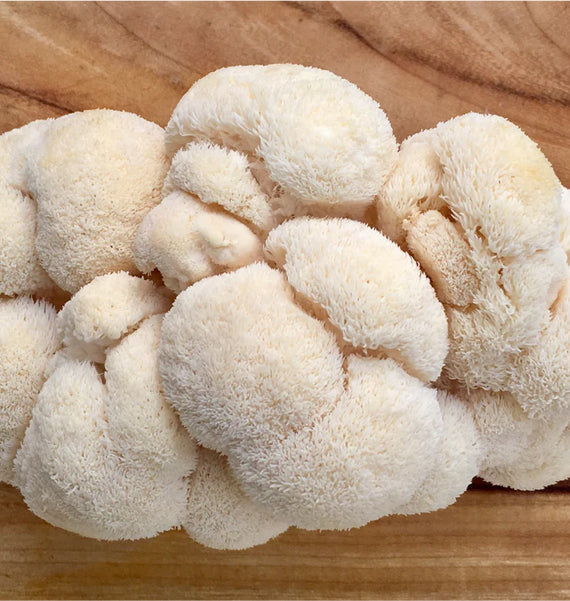 Lorem ipsum dolor sit amet, consectetur elit