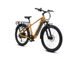 ENVO D50 Electric Bike