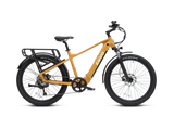 ENVO D50 Electric Bike